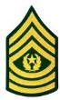 Army rank insignia for pay grade E-9